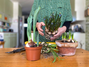 Löktider! Dags för vårgrupp :)