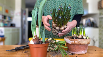 Löktider! Dags för vårgrupp :)