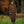 Load image into Gallery viewer, Lieblings kappa Luna! Avslappnad modell i Shetlandsull. Raglanärm, stora fickor med lock och veck med knapp vid ärmslut. Helfodrad med brunt glansigt foder från Italien. Bruna corozo-knappar fram, sprund bak. Färg: Rödbrun
