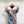 Load image into Gallery viewer, Vår kimonoklänning Mika! Mika är rak i modellen med omlottknyt och fickor i sidorna. Fin både som klänning och lång kimono. Mika Lupin är sydd i en härligt stormönstrad färgstark EcoVero-viskos.  Färg: Rosa, blå, grön, rost, creme.  Material:  100% EcoVero viskos från Frankrike
