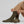 Load image into Gallery viewer, Colorful Standard wool socks Sahara Camel
