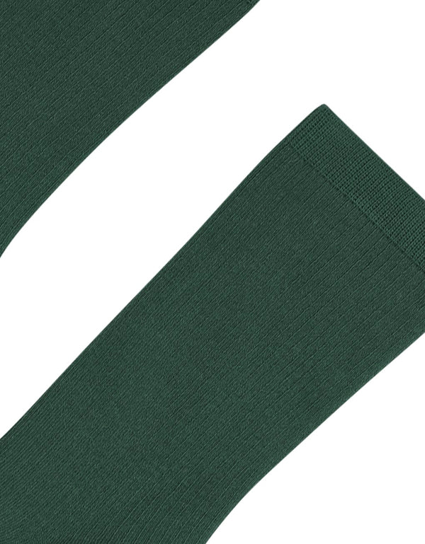 Colorful Standard sock Emerald Green